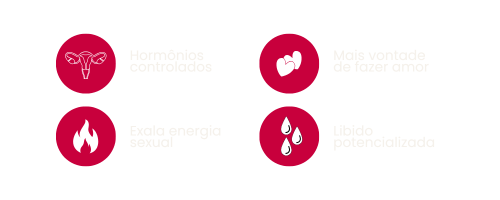 Libion (3)