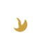 Libion